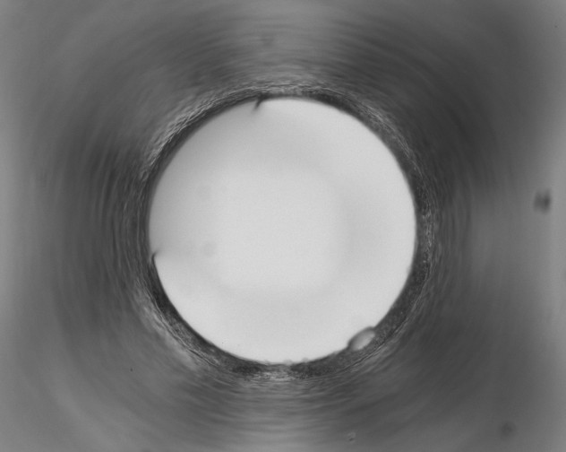 X0000115080589200912081213