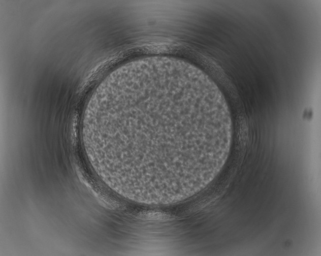 X0000115080590200912081213