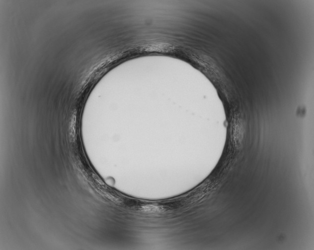 X0000115080591200912081213