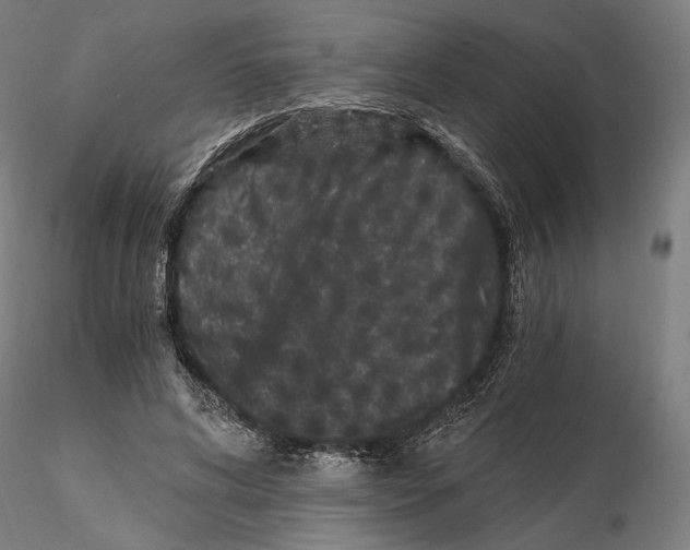 X0000115080592200912081213