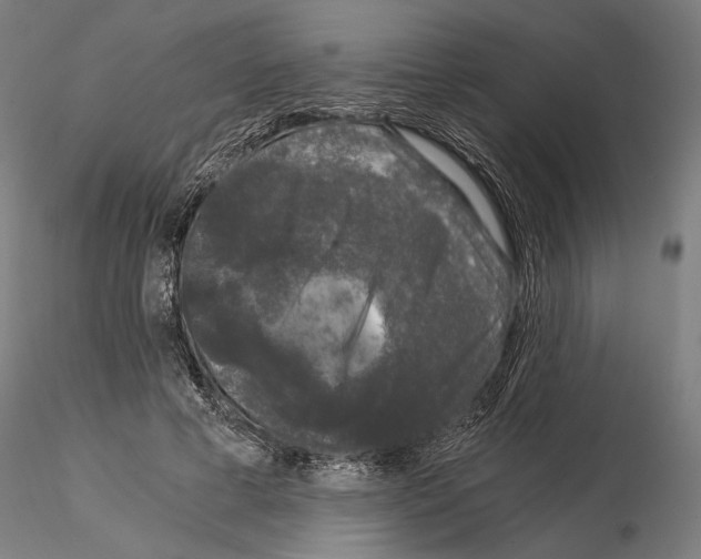 X0000115080593200912081213