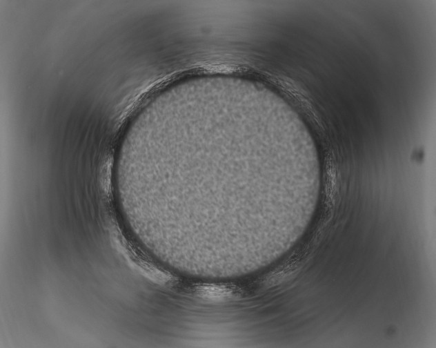 X0000115080596200912081213