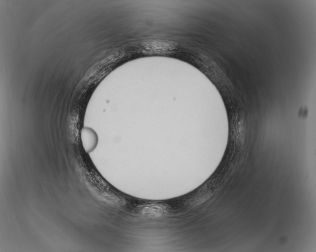 X0000115080599200912081213