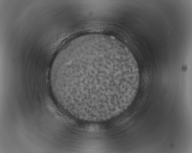 X0000115080600200912081213