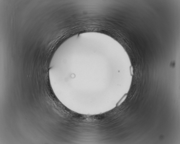 X0000115080601200912081213