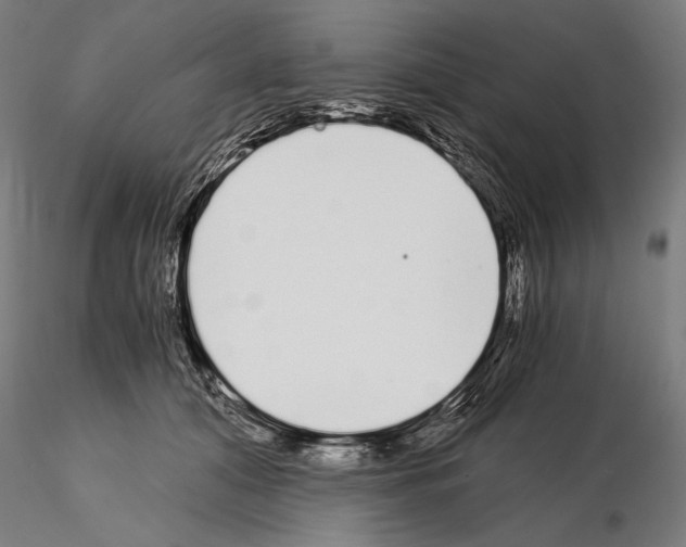 X0000115080608200912081213