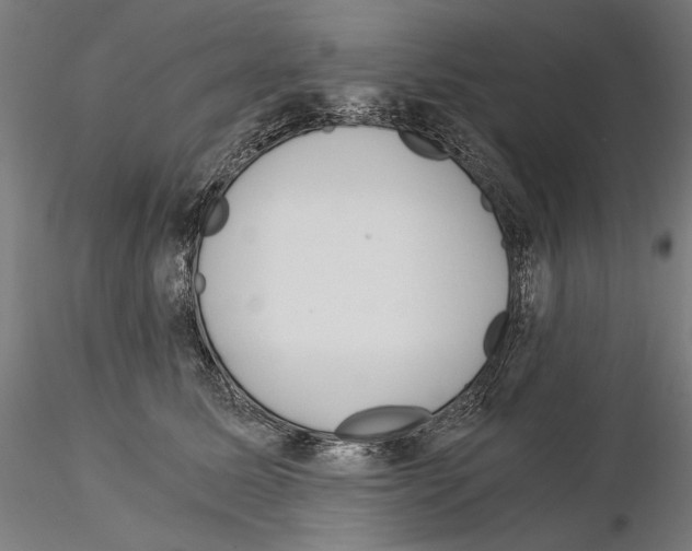 X0000115080611200912081213