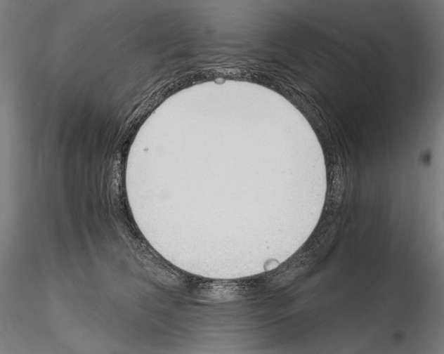 X0000115080612200912081213