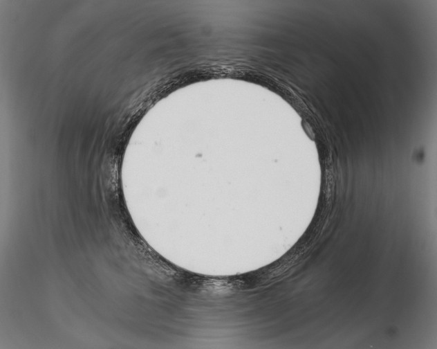 X0000115080613200912081213