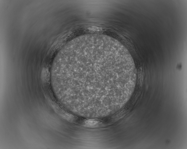 X0000115080614200912081213