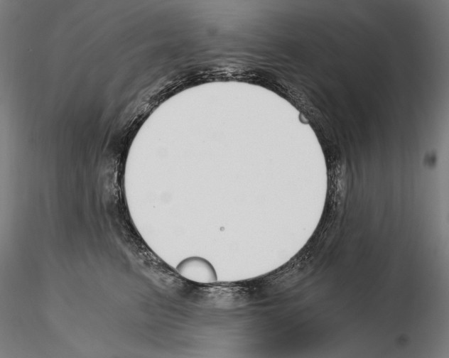 X0000115080615200912081213