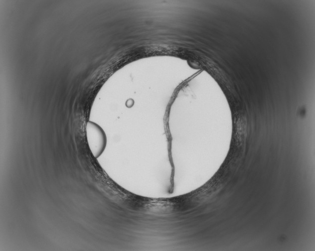 X0000115080617200912081213