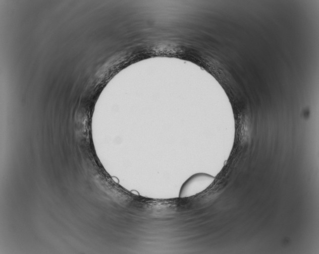 X0000115080619200912081213