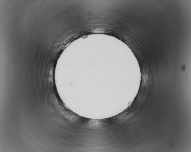 X0000115080620200912081212