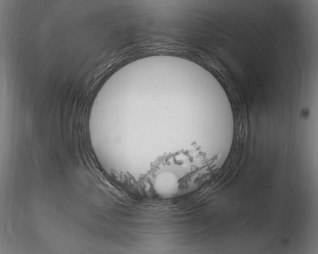 X0000115080621200912081212