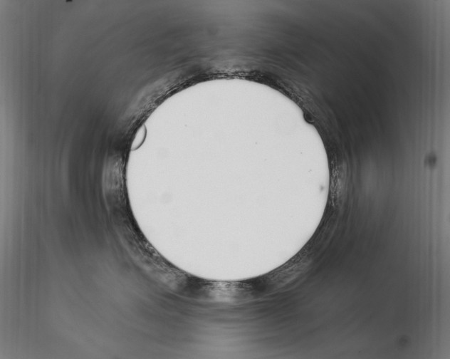 X0000115080623200912081212