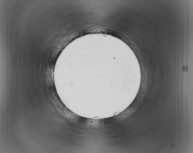 X0000115080624200912081212