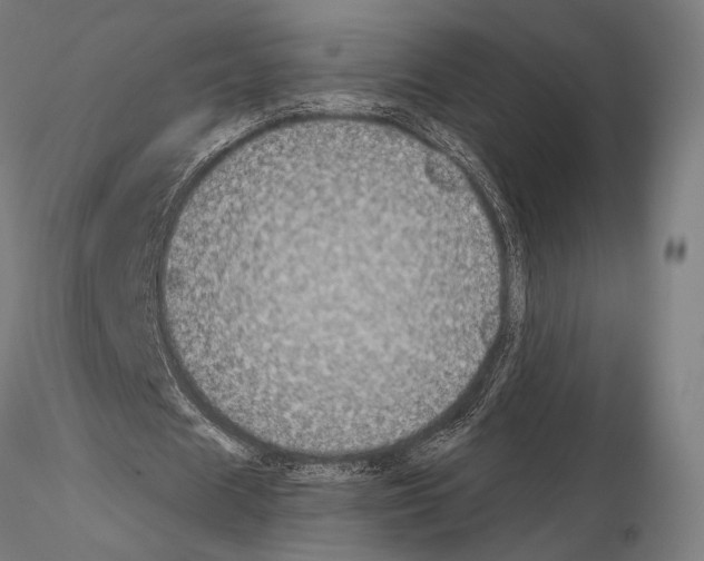 X0000115080625200912081212