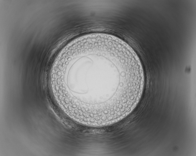 X0000115080626200912081212