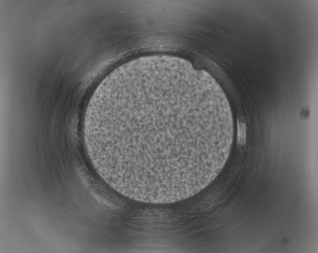 X0000115080627200912081212