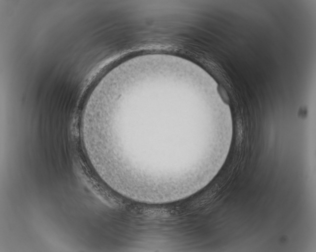 X0000115080628200912081212