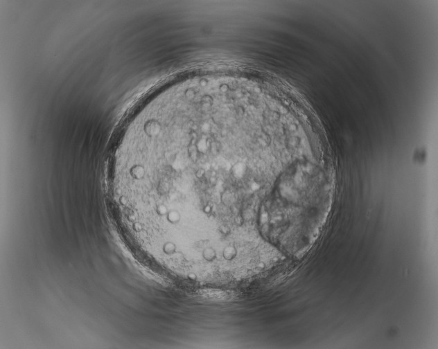 X0000115080629200912081212