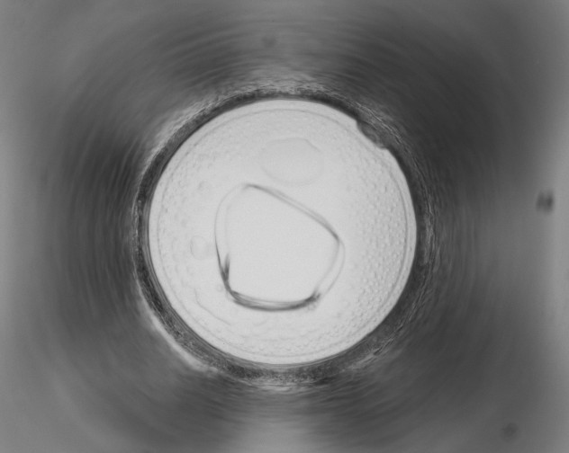 X0000115080630200912081212