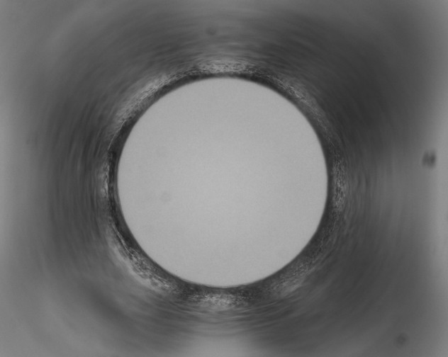 X0000115080631200912081212