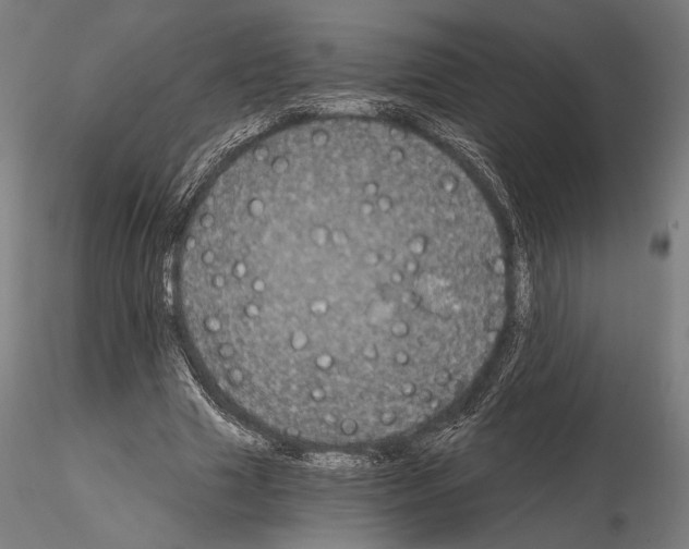 X0000115080633200912081212