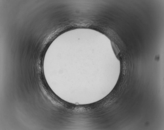 X0000115080634200912081212