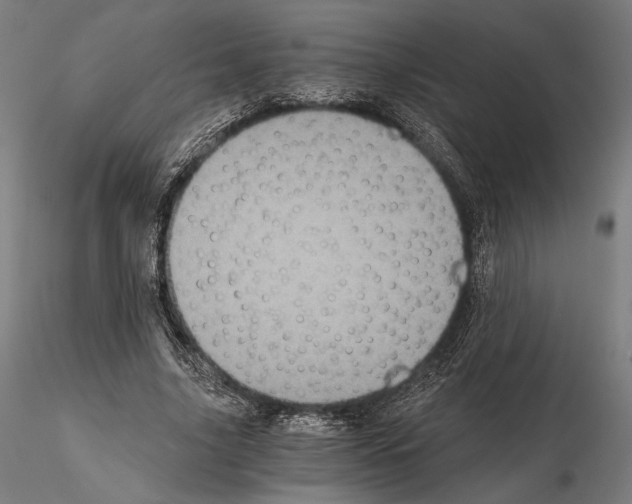 X0000115080635200912081212