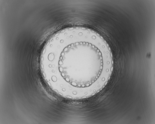 X0000115080638200912081212