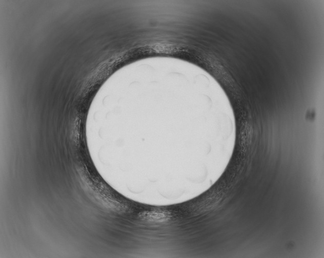 X0000115080639200912081212