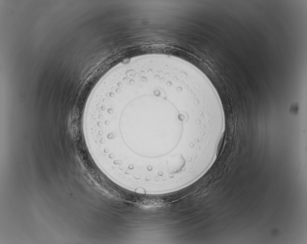 X0000115080642200912081212