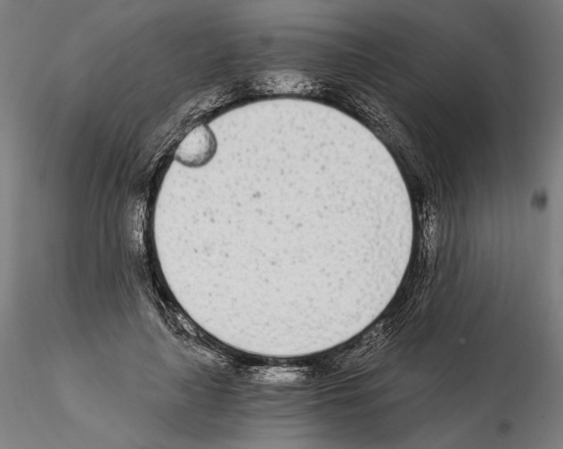 X0000115080643200912081212