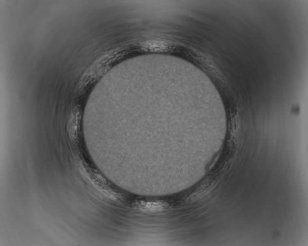 X0000115080645200912081212