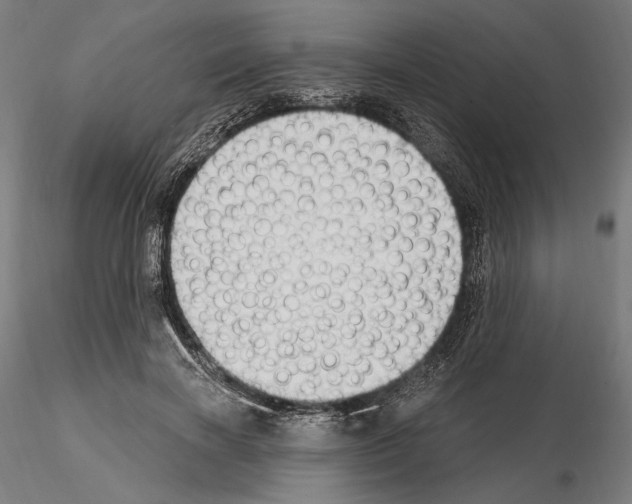 X0000115080646200912081212