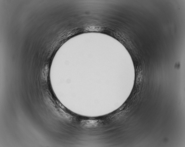 X0000115080647200912081212