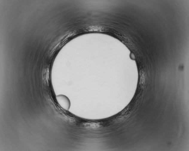 X0000115080648200912081212