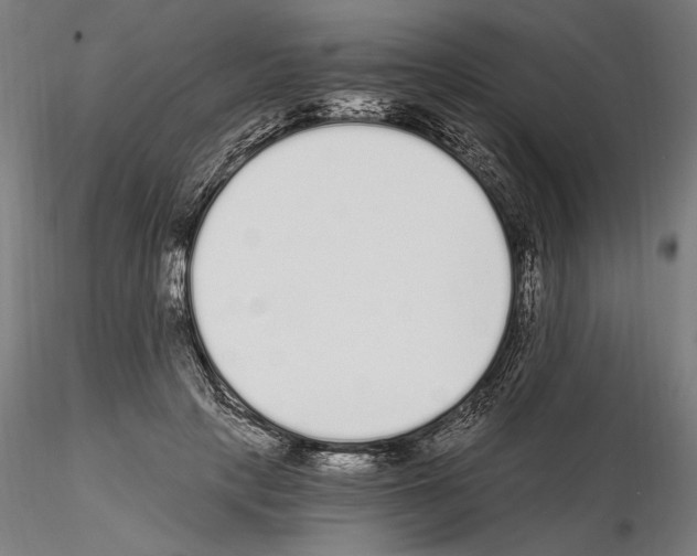 X0000115080649200912081212