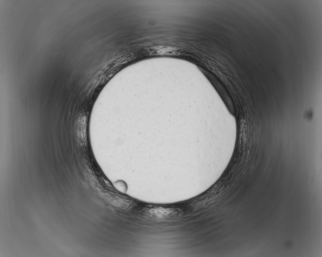 X0000115080650200912081212