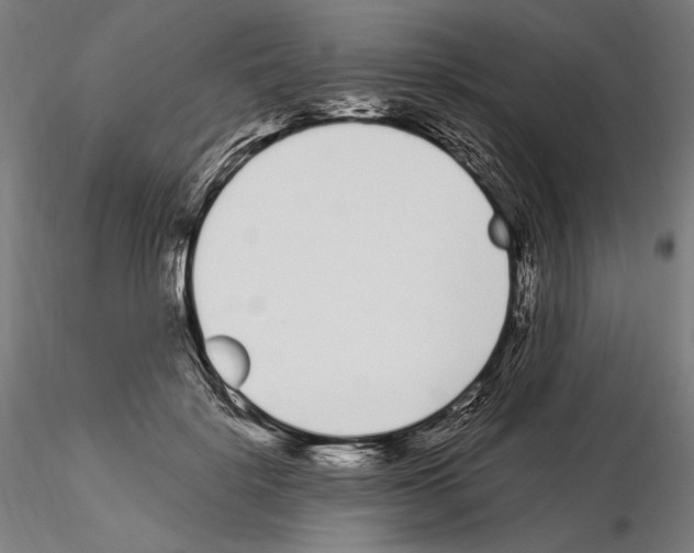 X0000115080652200912081212