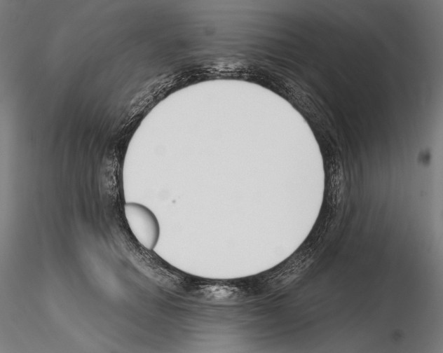 X0000115080654200912081212