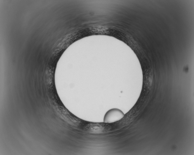 X0000115080658200912081212