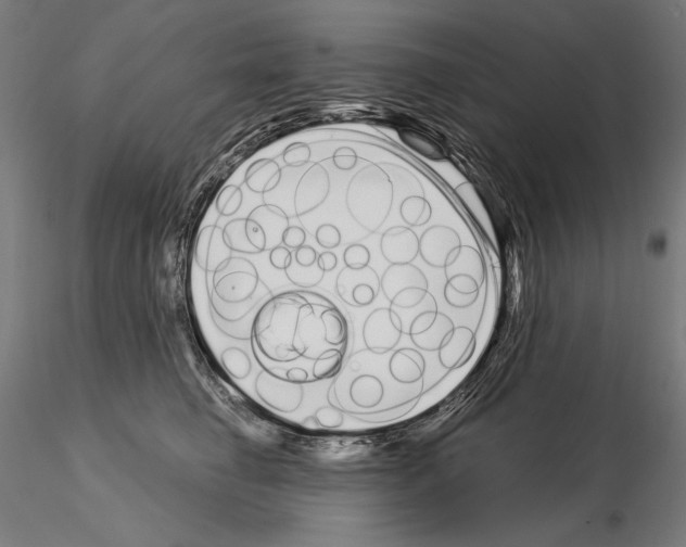 X0000115080662200912081212