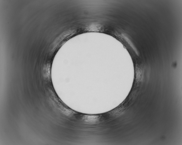 X0000115080665200912081212