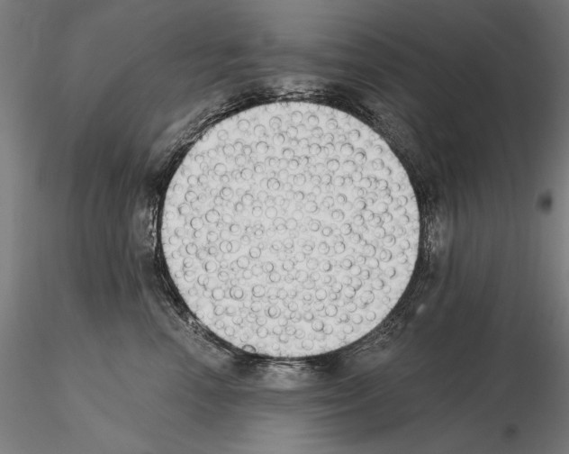 X0000115080666200912081212