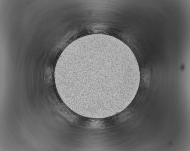 X0000115080667200912081212