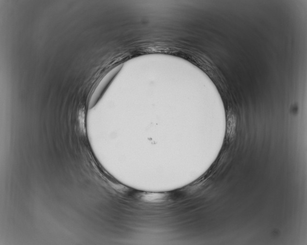 X0000115080669200912081212