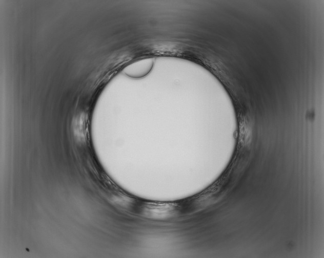 X0000115080671200912081212